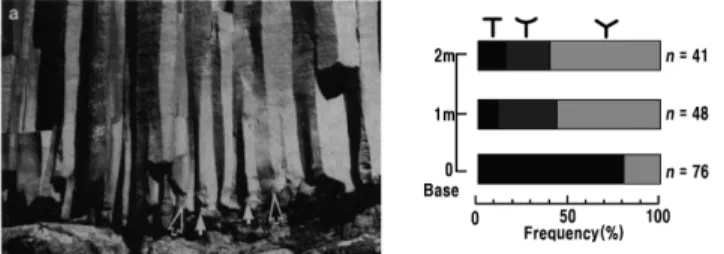 Fig. 8. A schematic illustration of joint formation in flow basalt.