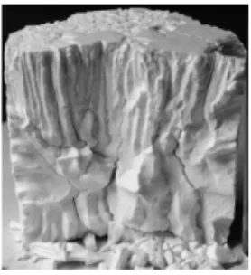 Fig. 21. Photographs showing columnar structure at the bot- bot-tom of the specimen for various lamp distances: (a) 1 cm, (b) 7 cm, (c) 18 cm, and (d) 30 cm
