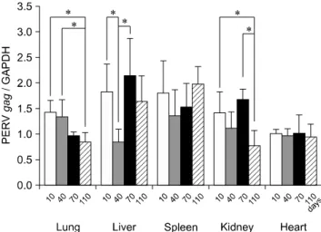 Fig. 3. The columns represent mean expression ratio (PERV  gag/GAPDH) of each age group and standard deviations