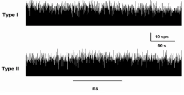 Fig. 3. Representative recordings showing reciprocal response of type I &amp; II neurons in MVN recorded simultaneously following ES to left GB 43 .