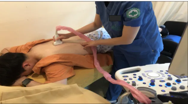 Fig. 2. Application of sonography guided Soyeom pharmacopuncture.