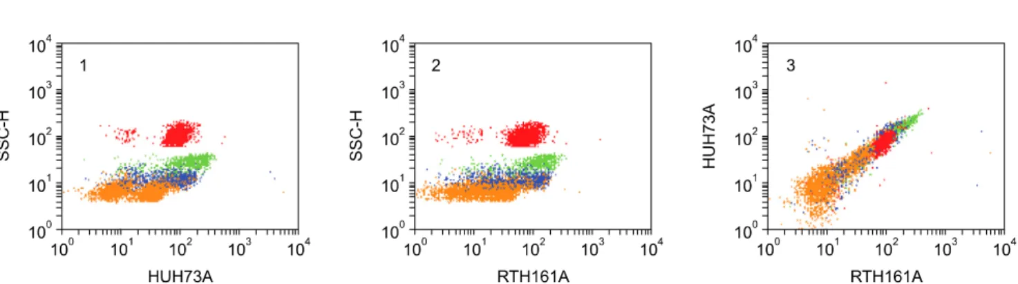 Fig. 10. Two color analysis of HUH73A and MRB161A. The similarity in the pattern of labeling obtained with both mAbs indicates  they recognize the same molecule, panels 1 and 2
