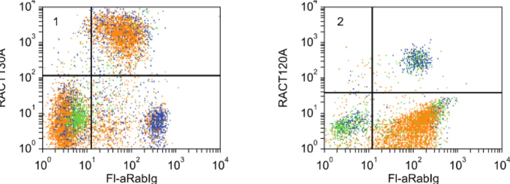 Fig. 5. Two color FC analysis demonstrating that RACT30A recognizes a molecule expressed on all B cells, panel 1