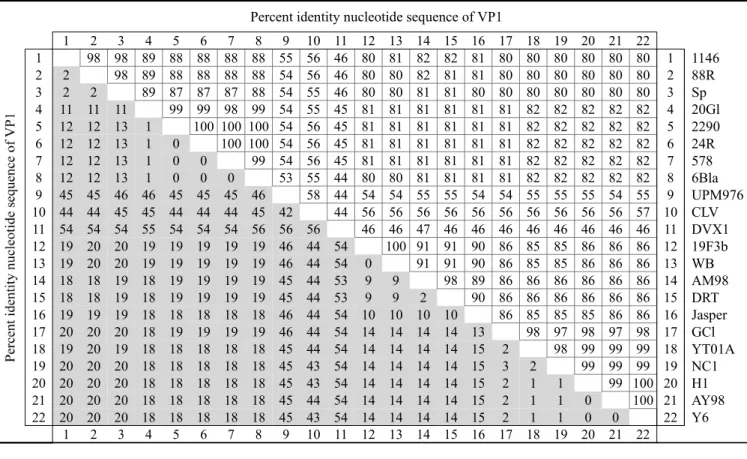 Table 5. Pairwise similarity and distances among the VP1 amino acid sequences of 22 birnavirus strains Percent identity amino acid sequence of VP1
