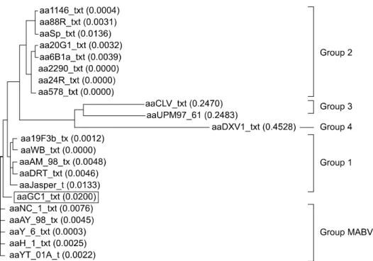 Fig. 1. Cladogram representing phylogenetic relationships between birnaviruses based on deduced amino acid sequences of VP1