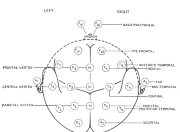 Fig. 1. Ten-twenty electrode system. δ θ α β αα α