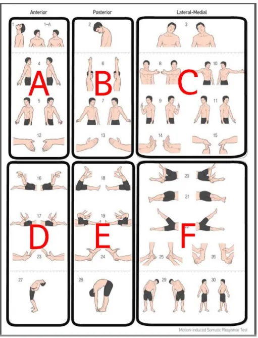 Fig. 1. Blocked image of 12 meridian.2) M-test를 통한 평가 방법(1) M-test의 양성소견 평가 방법 블록화한 경락에 대해서 ‘그 경락에 제한 = 긴장이 있다’고 판단하는 양성 소견은 아래의 두 가지로 분류하였다