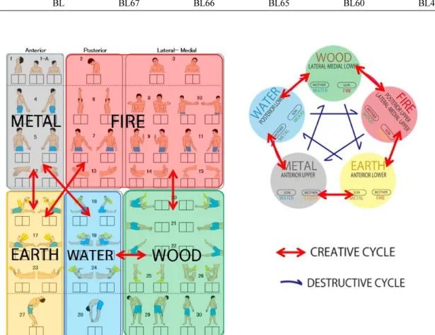 Fig. 6. The relationship of M-test and the five elements. Metal: upper limb anterior portion, Fire: upper limb lateral, medial &amp; 