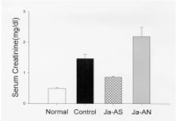 Fig. 2. Effect  of  Juglandis  Semen  herbal  acu- acu-puncture  on  Serum  Creatinine  in  Rats  Received  Intramuscular  Injection  of  50% 