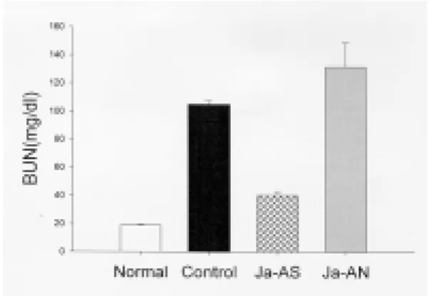 Fig. 4. Effect  of  Juglandis  Semen  herbal  acu- acu-puncture  on  Blood  Urine  Nitrogen  in  Rats  Received  Intramuscular  Injection  of  50% 