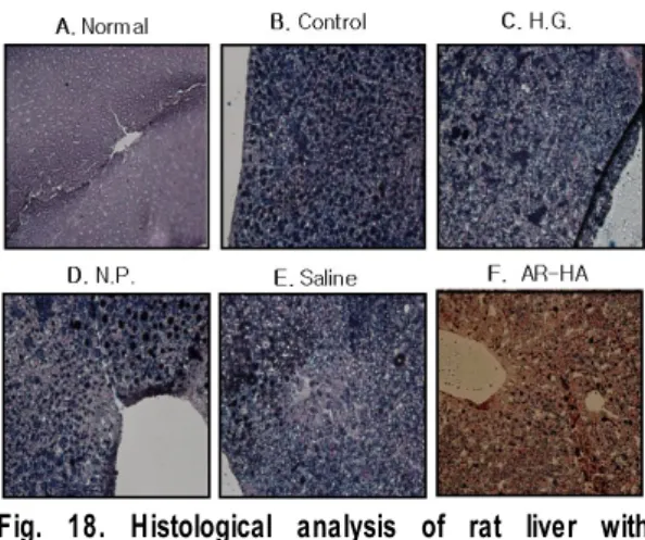 Fig. 17. Effect of AR-HA at GB34 on hepatic catalase level in hyperlipidemic rats.