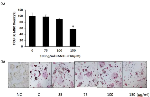 Fig.  3.  Effects  of  Pyrola  japonica  extract  (NJ)  on  cell  viability of osteoclast