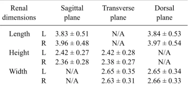 Table 1. Comparison of renal dimensions of 50 Korean domestic short-hair cats measured in different ultrasonographic angles 