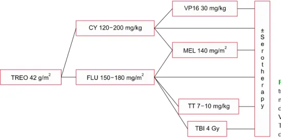 Fig.  1.  Various  combinations  of  treosulfan-based conditioning  regi-mens.  TREO,  treosulfan;  FLU,   flu-darabine;  CY,  cyclophosphamide; 