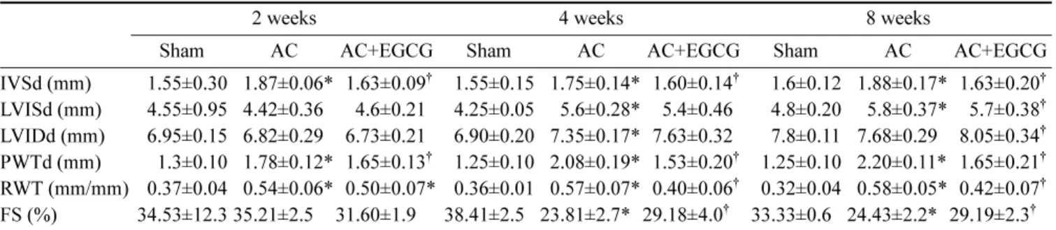 Table 2.  Echocardiographic changes after pressure overload