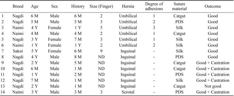 Table 2.  Cases of umbilical, inguinal and scrotal hernias in sheep