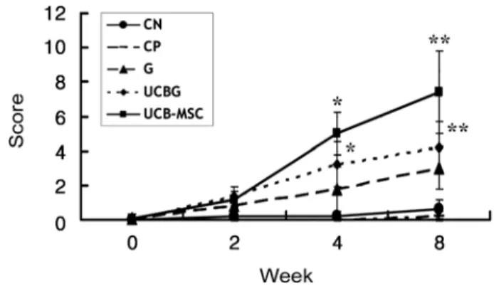 Fig. 1.  Olby scores during 8 weeks. The groups of UCB-MSC and UCBG improved more as shown with their functional scores compared with the groups of CN and CP at 2 week after transplantation ( p < 0.05)