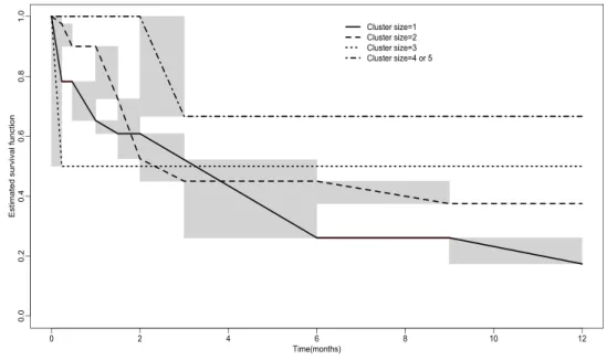 Figure 4.1. Plot of estimated baseline survival functions by the cluster size