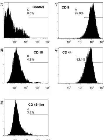 Fig. 2. Flow cytometric determination of cell-surface antigen  profiles for feline MSC