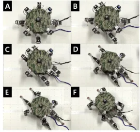 그림 13. 로봇들 결합해제 실험 Fig. 13. Experimental for undocking of robots