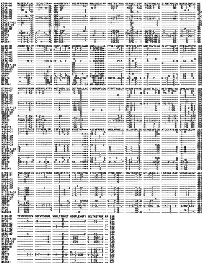 Fig. 2. The deduced amino acid sequences of the S1 glycoprotein gene of 13 Korean IBV isolates and six published non-Korean IBV strains