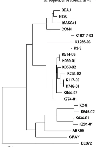 Fig. 3. Phylogenetic relationship based on the deduced amino  acid sequences of the S1 glycoprotein of the 12 Korean IBV field isolates (K434-01, K748-01, K058-02, K044-02, K117-02,  K234-02, K545-02, K514-03, K10217-03, K1255-03, K3-3,  K3-3) and non-Kore