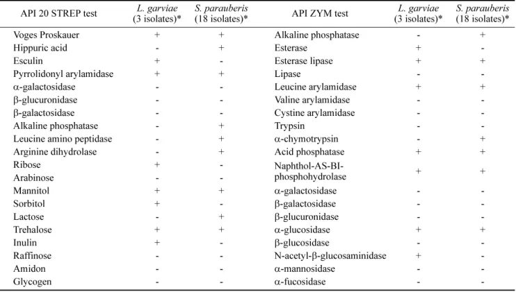Table 2.  Biochemical characteristics of  Streptococcus  sp. isolated from diseased flounders API 20 STREP test (3 isolates)*L