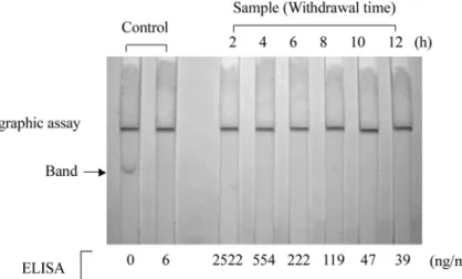 Fig. 6.  Comparison of immunochromatographic assay with competitive direct ELISA. Kanamycin was administered intramuscularly to rabbits at 20 mg/kg/day for 3 consecutive days as described in Materials and Methods