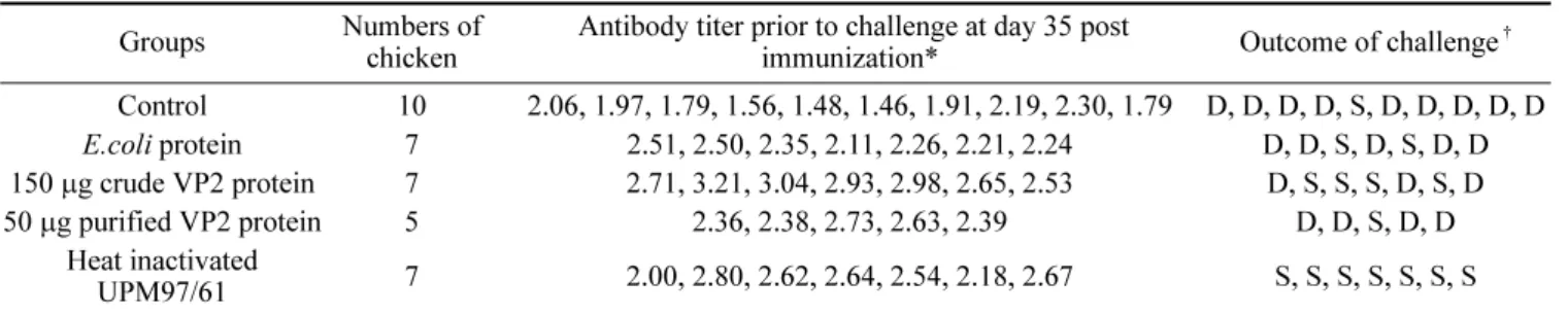 Table 2.  Antibody titer and outcome of a challenge with highly virulent IBDV