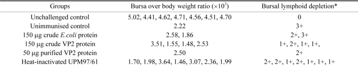 Table 3.  Bursa to body weight ratio and bursal histopathological scoring of surviving chickens at day 8 post-challenge with highly virulent IBDV