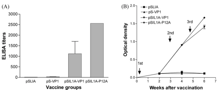 Fig. 4B shows a weak reaction in the sera of all four groups one week after the first immunization