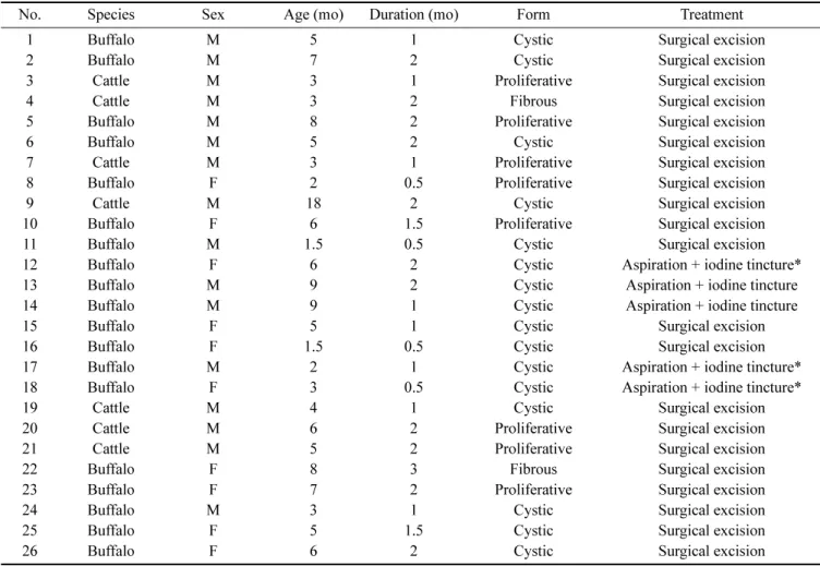 Table 2.  Cases of presternal bursitis in cattle and buffalo calves (n = 27)