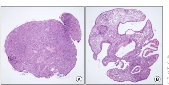 Fig. 2. Histopathological findings. 