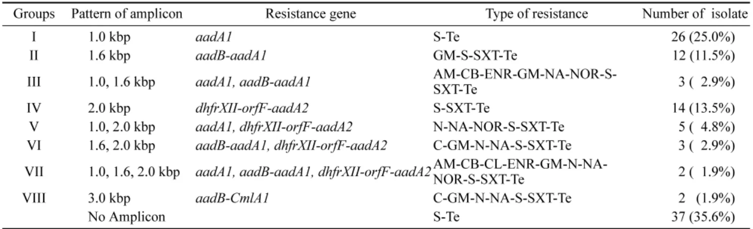 Table 2.  Relationships between amplicon size, resistantce genes, and resistance patterns found within  E
