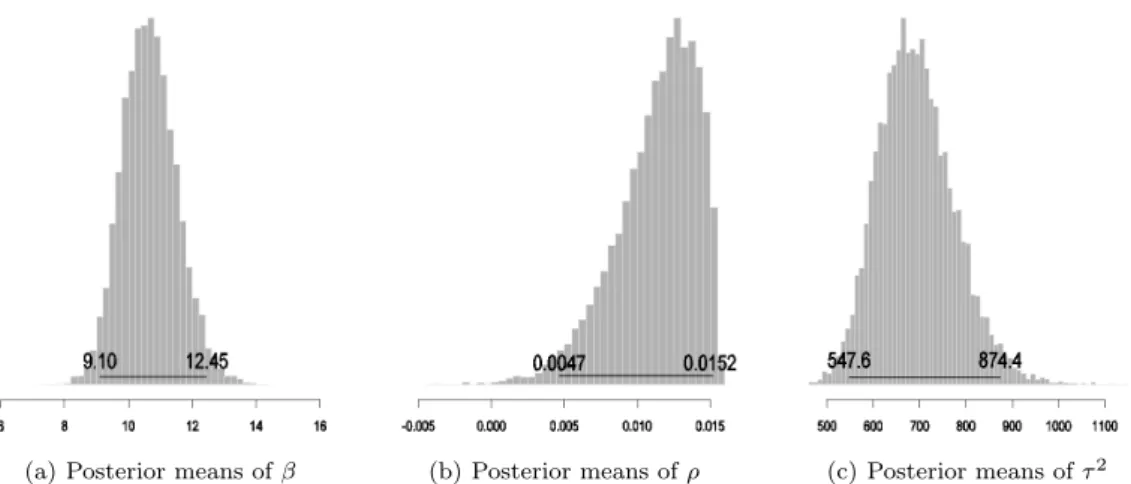 Figure 4.1. Histograms of the Posterior Means of the Parameters and the 95% Bayesian Confidence Intervals (solid lines) based on a Boundary-based Neighborhood.