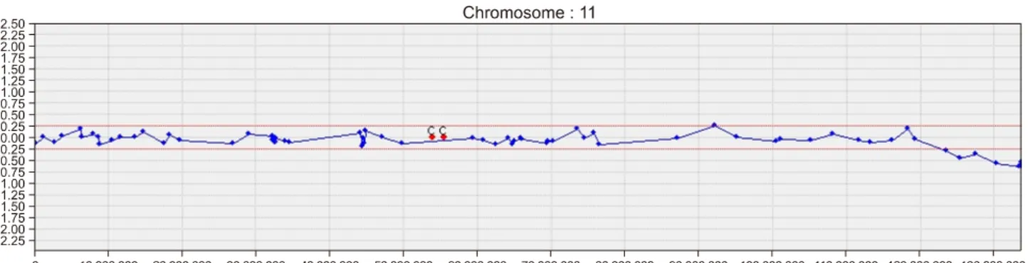 Fig. 3. The chromosomal microarray analysis (G-scanning, MGmed, Korea) showing arr11q24q25(123630374_135054016)x1 in an infant with Jabobsen syndrome.