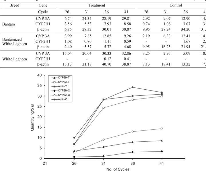 Table 1.  Quantity of CYP3A, CYP2H1 and  β -actin gene in phenobarbital treated and control groups of Bantam, Bantamized White Leghorn and White Leghorn chicks                                                                                                 