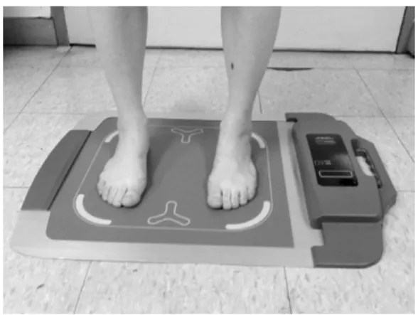 Fig. 3.  Weight Distribution in a Standing. Fig. 4.  Weight Distribution in a Walking.