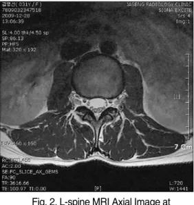 Fig. 1.  L-spine MRI Sagittal Image at  2009-12-18.