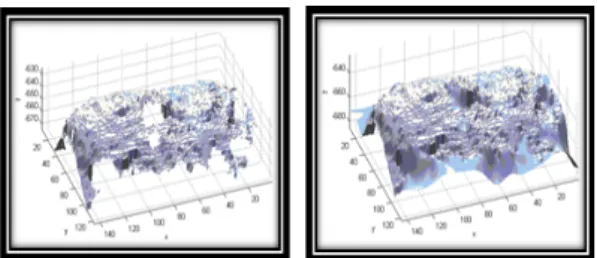 Fig.  2.  3D  face  before  (left)  and  after  (right)  interpolation  using  RBF.