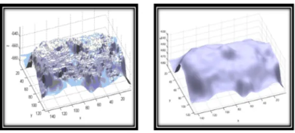 Fig.  4.  (Left)  Ground  truth  data,  (Center)  example  of  preforated  surface  and  (Right)  result  of  RBF  interpolation.