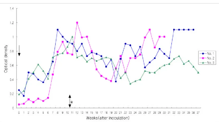 Fig 1. Antibody responses of dogs to experimental D. im m itis infection by ELISA using D