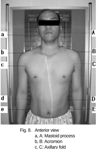 Fig. 8. Anterior view