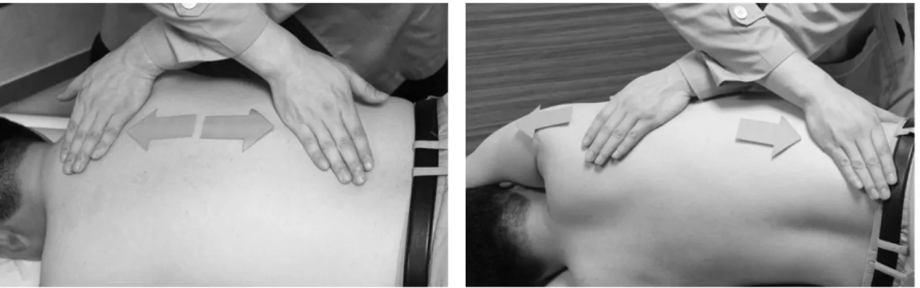 Fig. 3. Manual therapy.