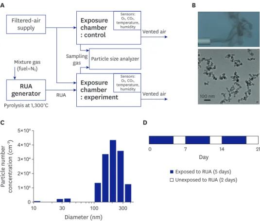 Figure 1. RUA generator and study protocol. (A) Schematic image of RUA generating system, (B) Picture of gas  (upper panel) and electron microscope image of particles (lower panel) from RUA generator, (C) Particle number  concentration, (D) Study protocol