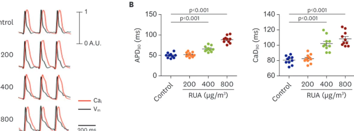 Figure 4A shows the activation (left panels), APD (middle panels), and CV (right panels)  maps from control and RUA of 800 µg/m 3 -exposed mouse hearts