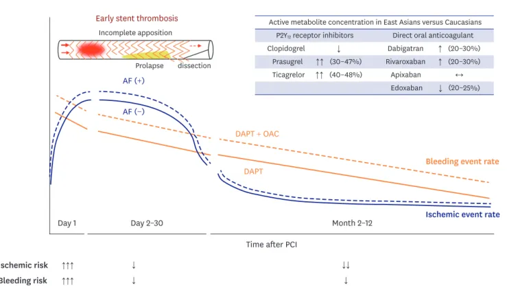 Figure 1. Key points to understand antithrombotic regimen in Korean patients with AF after PCI