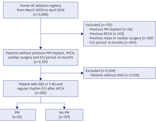 Figure 1. Flowchart of the patient analyses. 