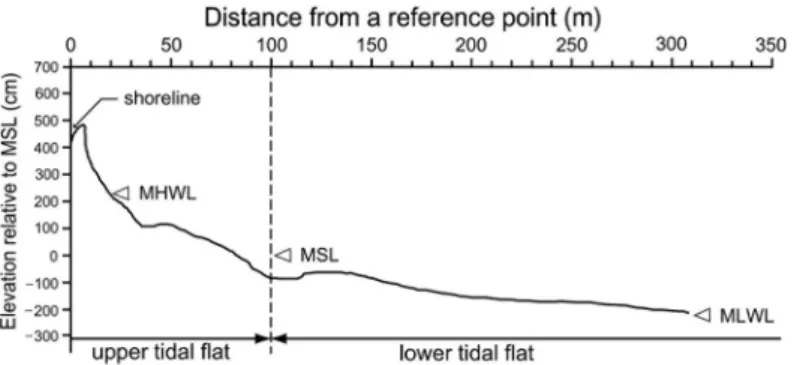 Table 2. Sedimentary textures of surface sediments in the Kwangseungri beach