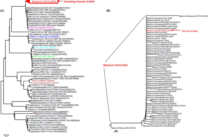 Figure 1. A phylogenetic tree analysis of SARS-CoV-2 isolated from Korea was adopted from previous research